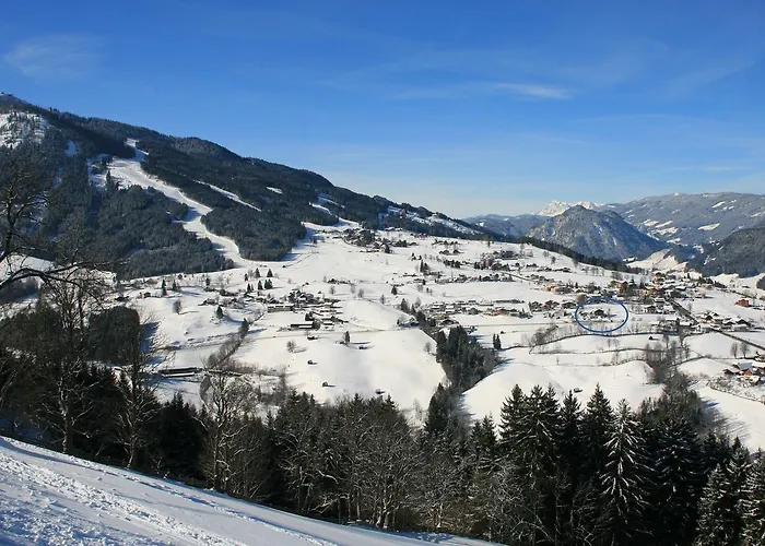 Hotel-cafe Perner 3*